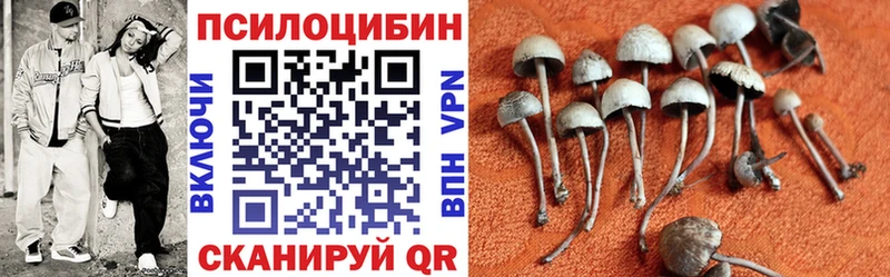 Галлюциногенные грибы Cubensis Купить Бирюч